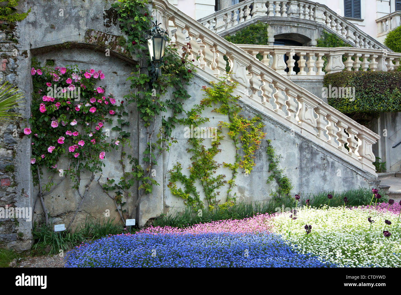 Villa Carlotta and gardens in spring sunshine, Tremezzo, Lake Como, Northern Italy, Europe Stock Photo
