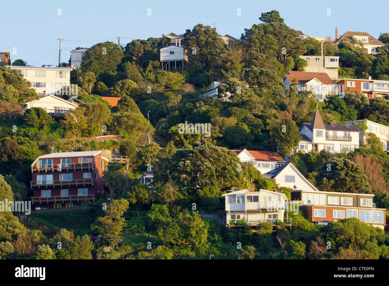 Houses clinging to the hillside, Wellington Harbour, New Zealand 2 Stock Photo
