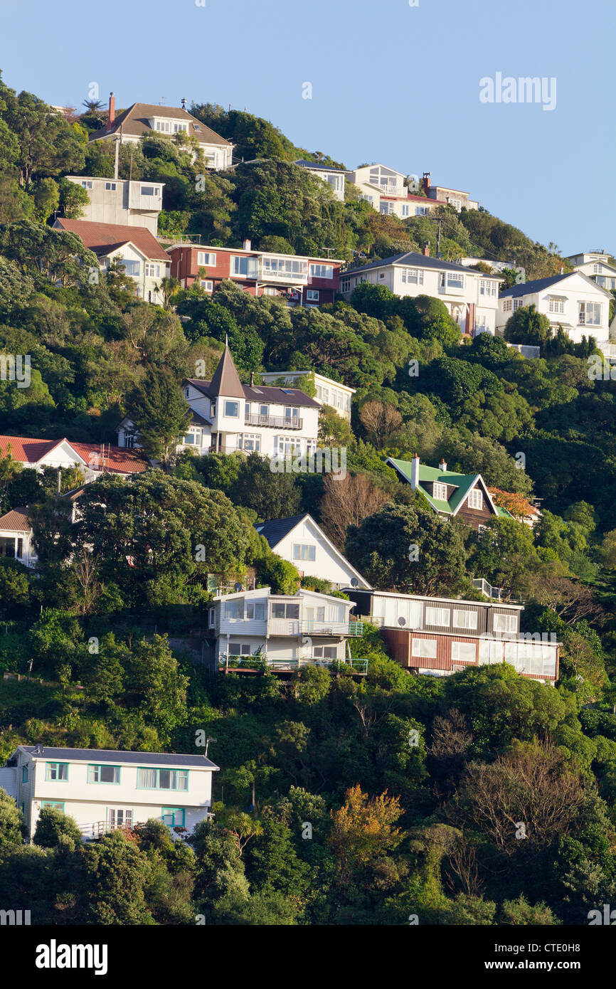 Houses clinging to the hillside, Wellington Harbour, New Zealand 3 Stock Photo