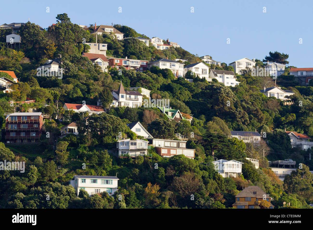 Houses clinging to the hillside, Wellington Harbour, New Zealand 5 Stock Photo