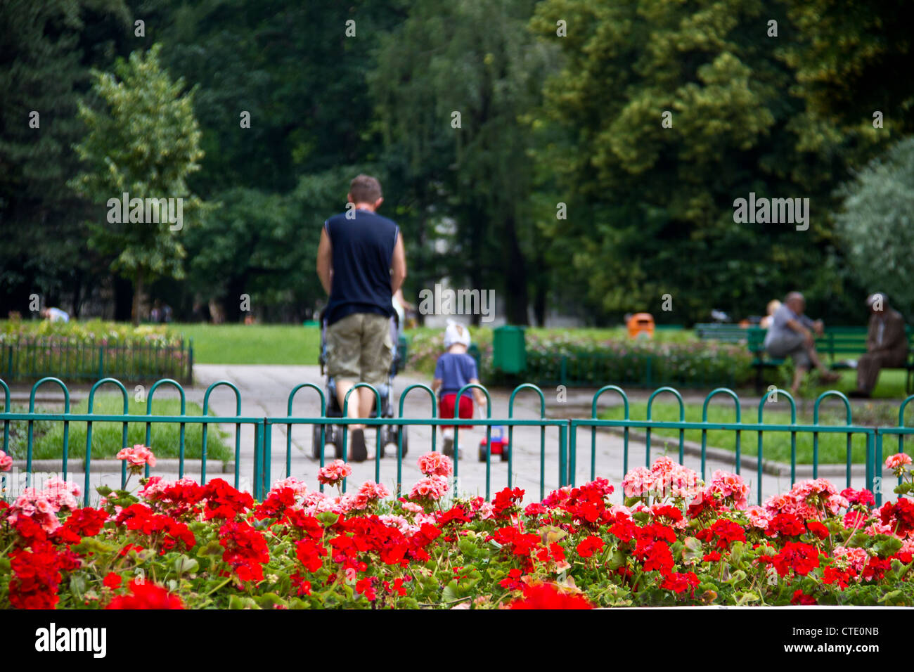 Father with little child taking a walk in the park Stock Photo - Alamy