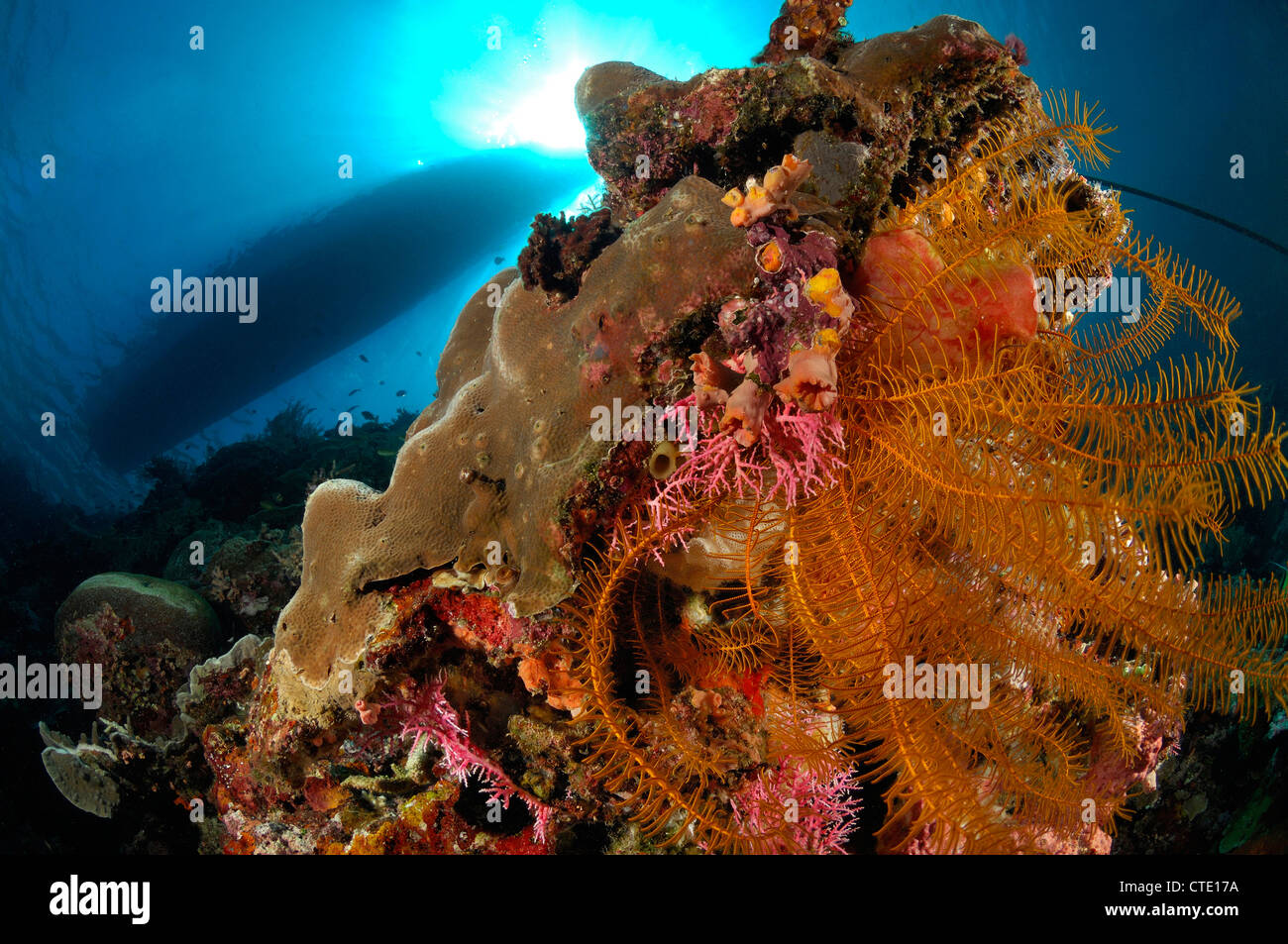 Diving Boat over Coral Reef, Bunaken, North Sulawesi, Indonesia Stock Photo