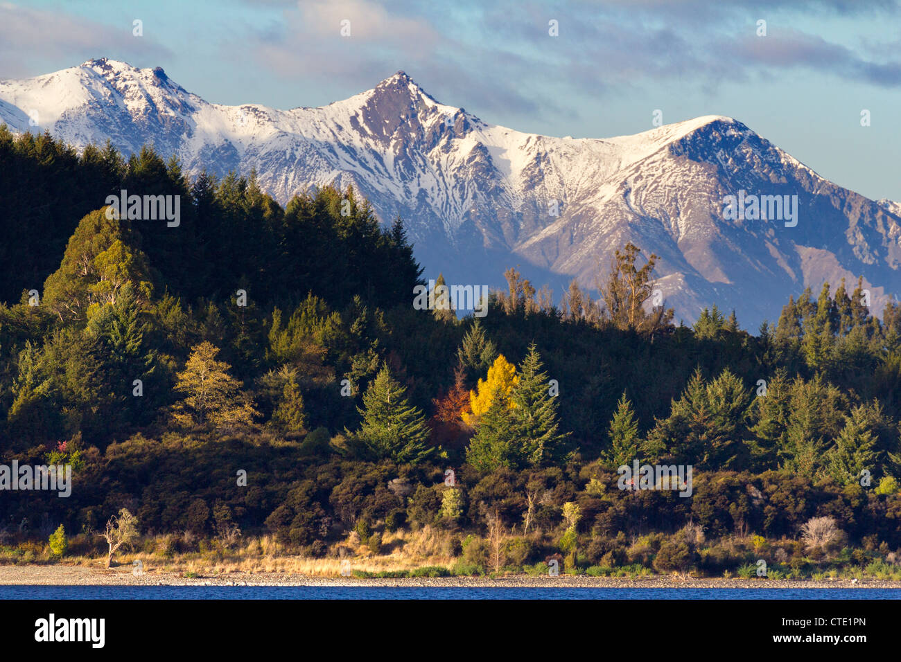 Mountains and autumn forests - view from Lake Te Anau, New Zealand 3 Stock Photo