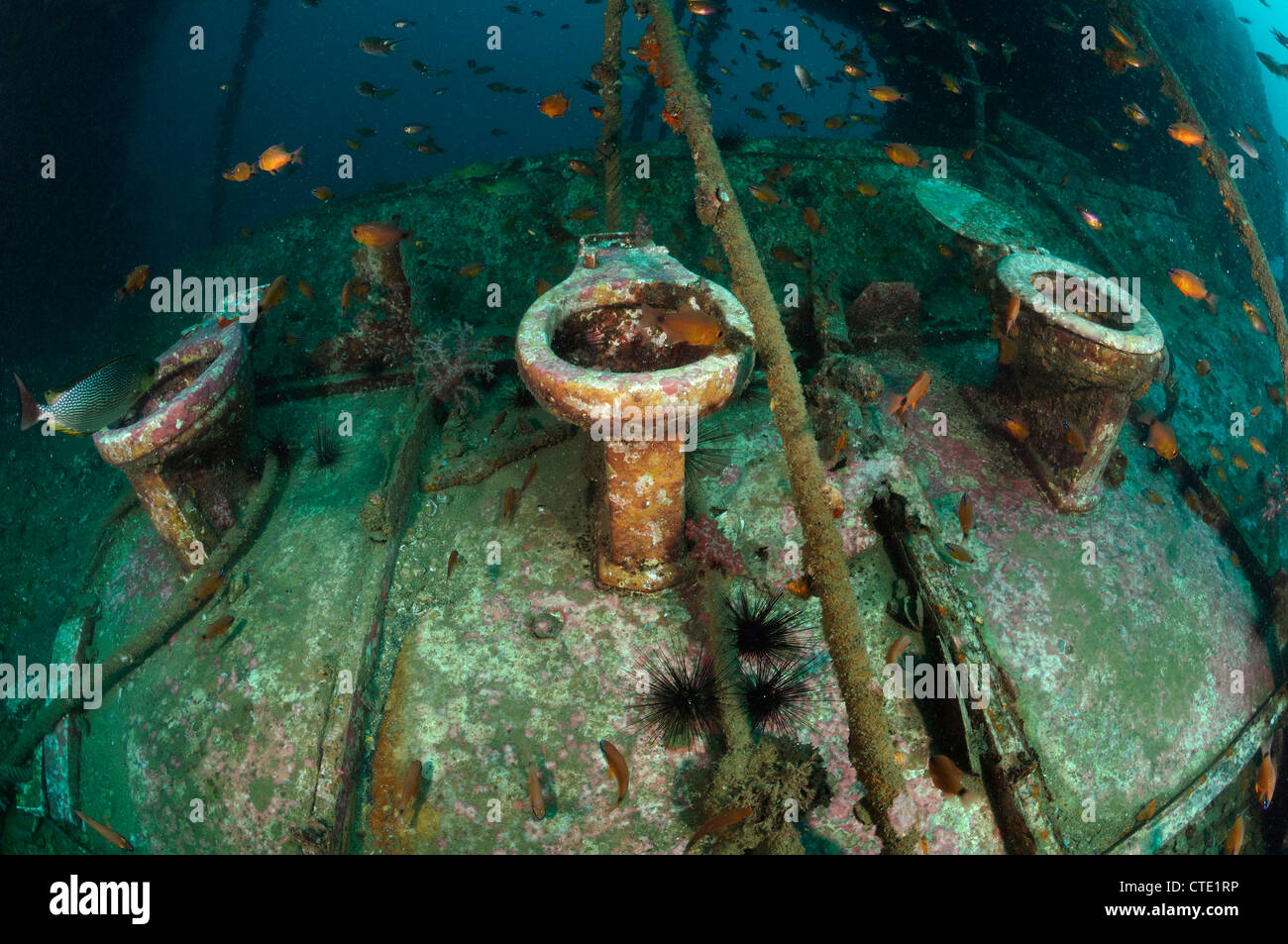Toilets inside King Cruiser Wreck, Phuket, Thailand Stock Photo