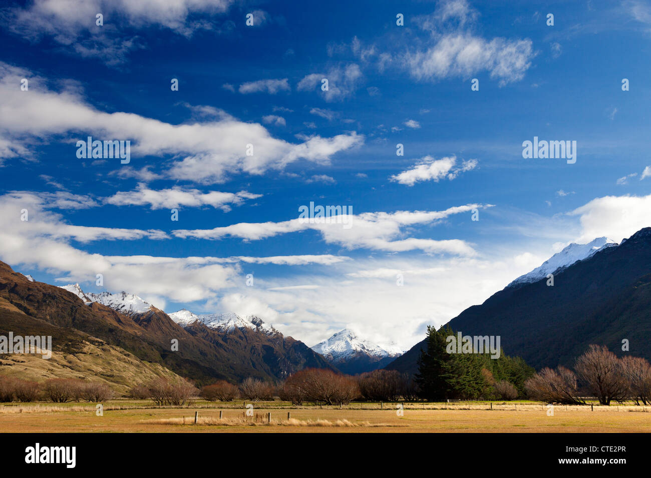 Wilkin Valley, Makarora, Mount Aspiring National Park, New Zealand 2 Stock Photo