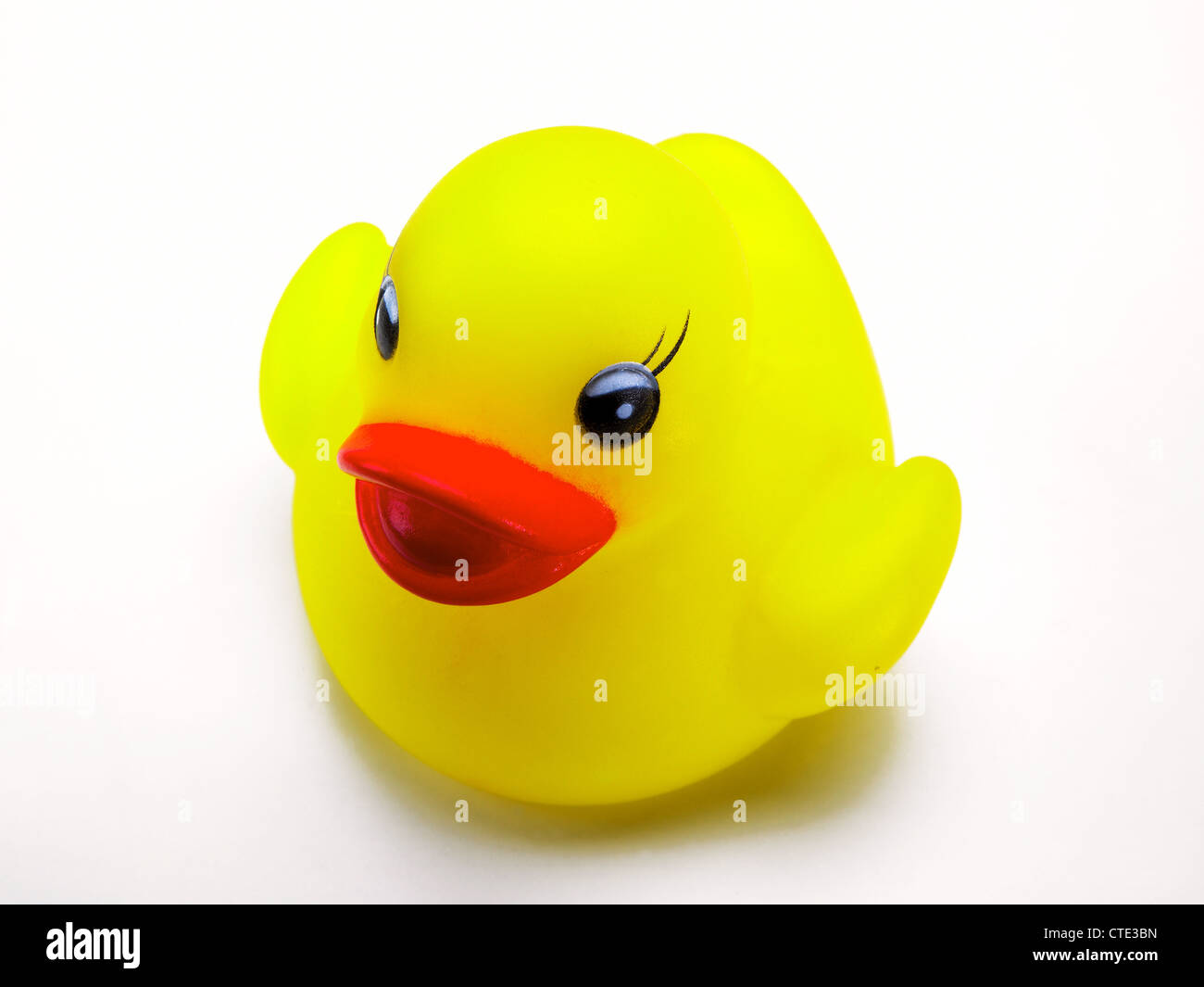 A rubber duck Stock Photo