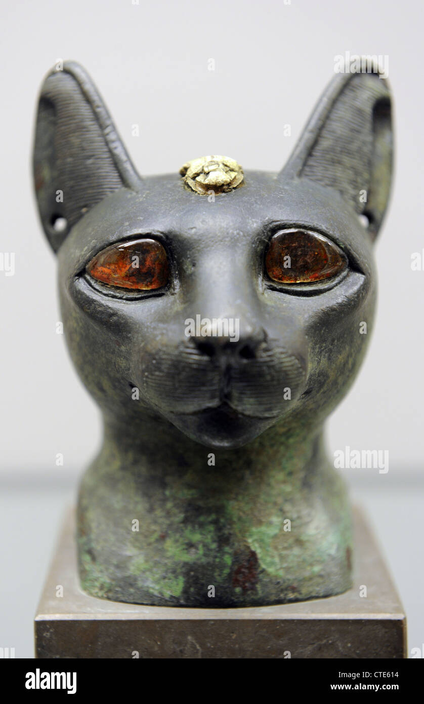 Egypt. Head of a cat with amber eyes. Carlsberg Glyptotek Museum