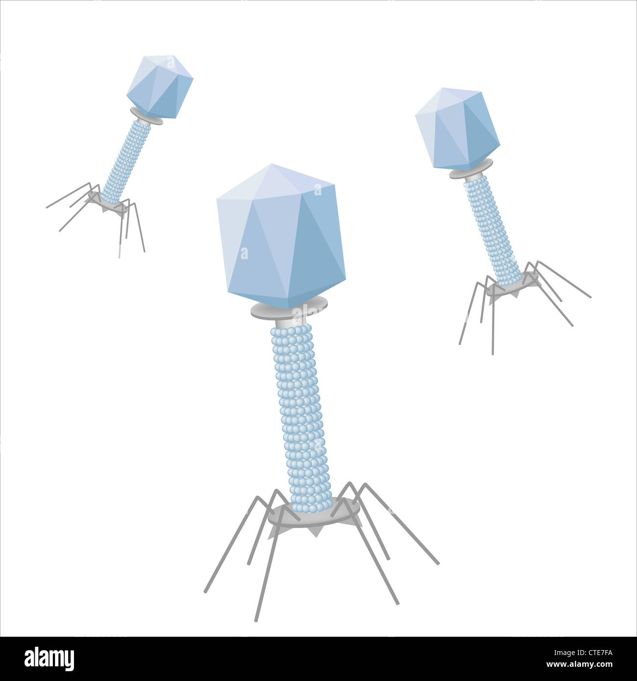 Bacteriophages Stock Photo