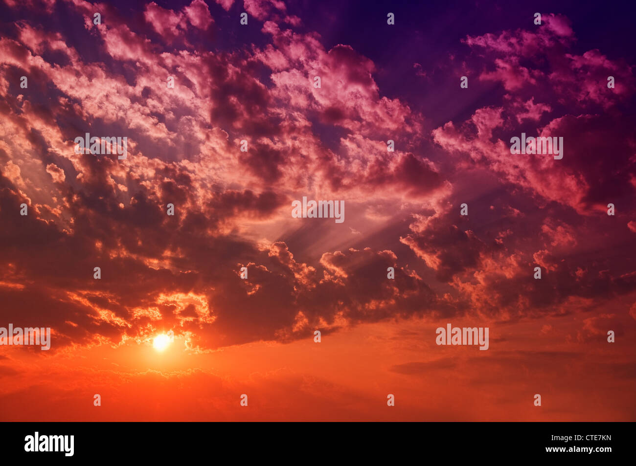 Beautiful red fluffy clouds in dusk. This cloudscape image is suitable as a background for your design. Stock Photo