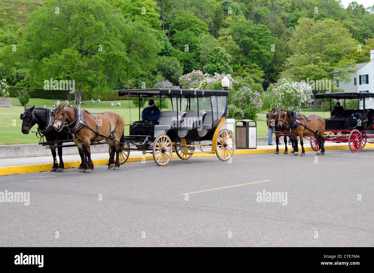 Michigan, Mackinac Island. Traditional horse carriage in downtown