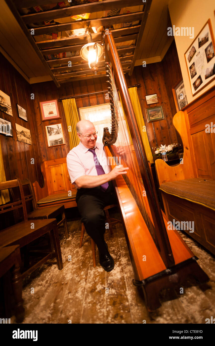 Welsh harpist ROBIN HUW BOWEN Stock Photo