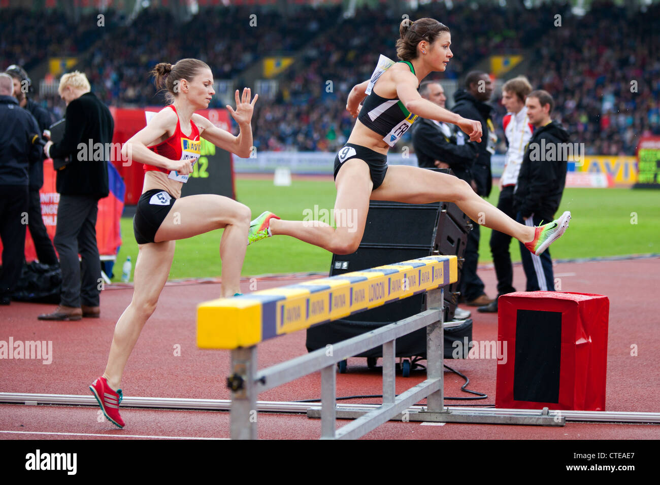 Bridget franek 3000m steeplechase hires stock photography and images