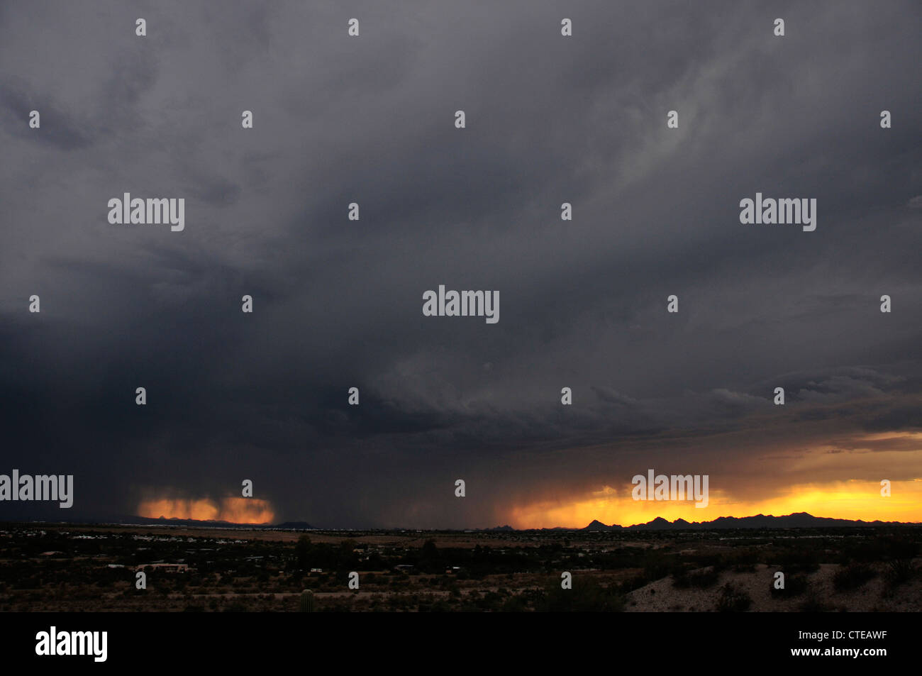 A microburst dumps rain around sunset in monsoon season in the Sonoran Desert,Tucson, Arizona, USA. Stock Photo