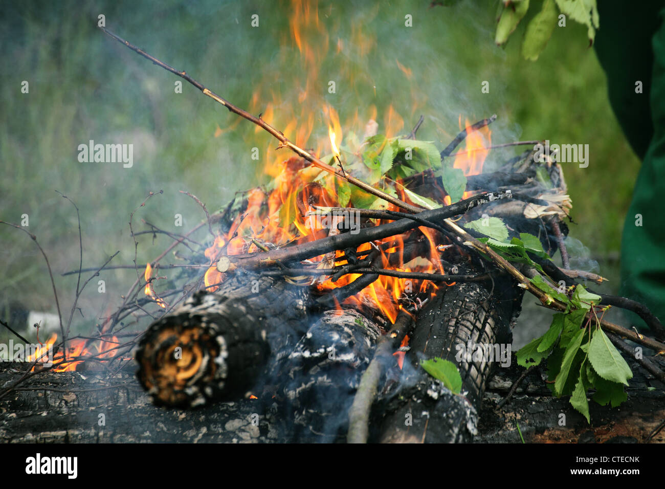 bonfire, campfire in the summer forest Stock Photo - Alamy