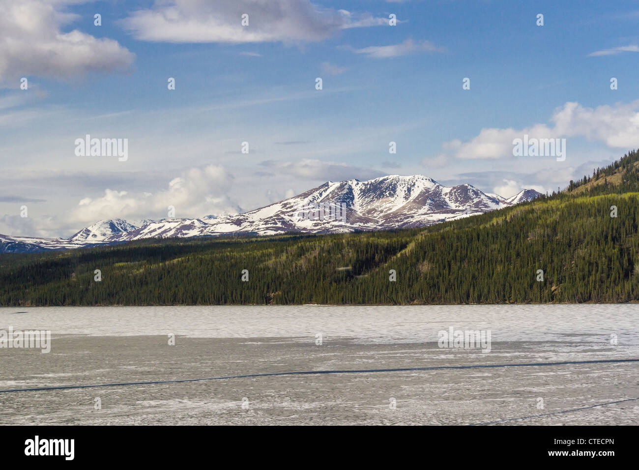 'Fox Lake' still partially frozen, on the Yukon River in Yukon Territory in Canada. Stock Photo