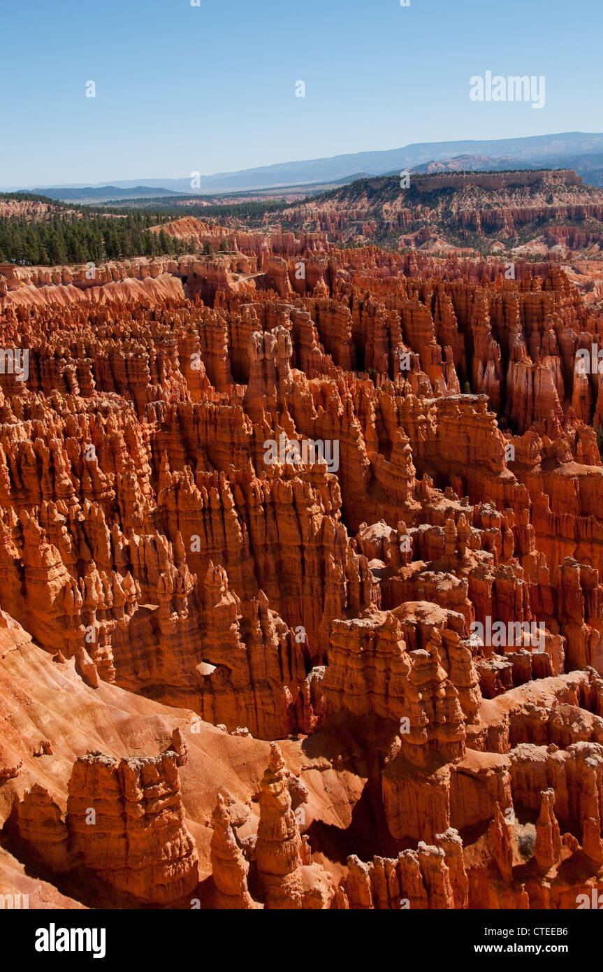 USA, Utah, morning light on landscape at Sunrise Point in Bryce Canyon