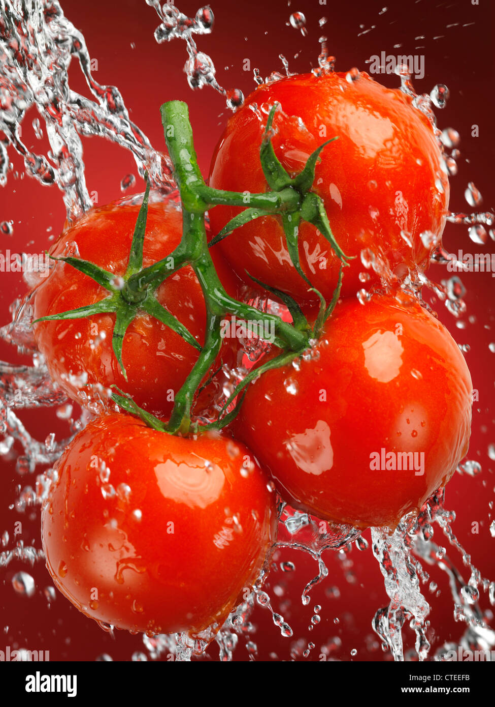 Fresh juicy cluster tomatoes, tomatoes on the vine in a big splash of water Stock Photo