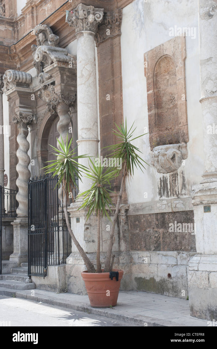 Chiesa di San Francesco Saverio, Palermo, Sicily, Italy Stock Photo Alamy
