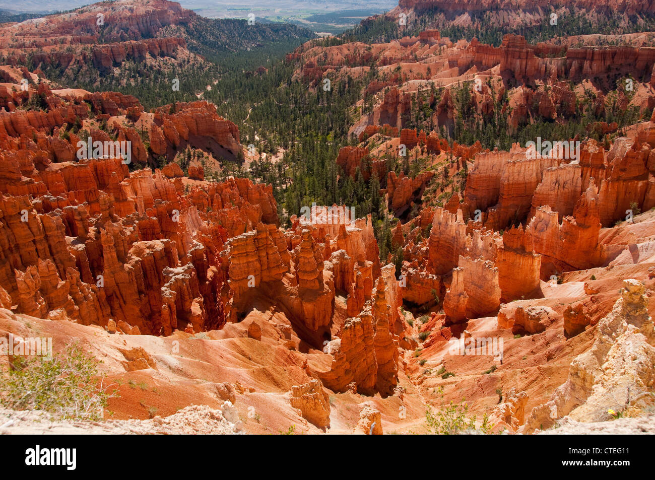 USA, Utah, morning light on landscape at Sunrise Point in Bryce Canyon National Park. Stock Photo