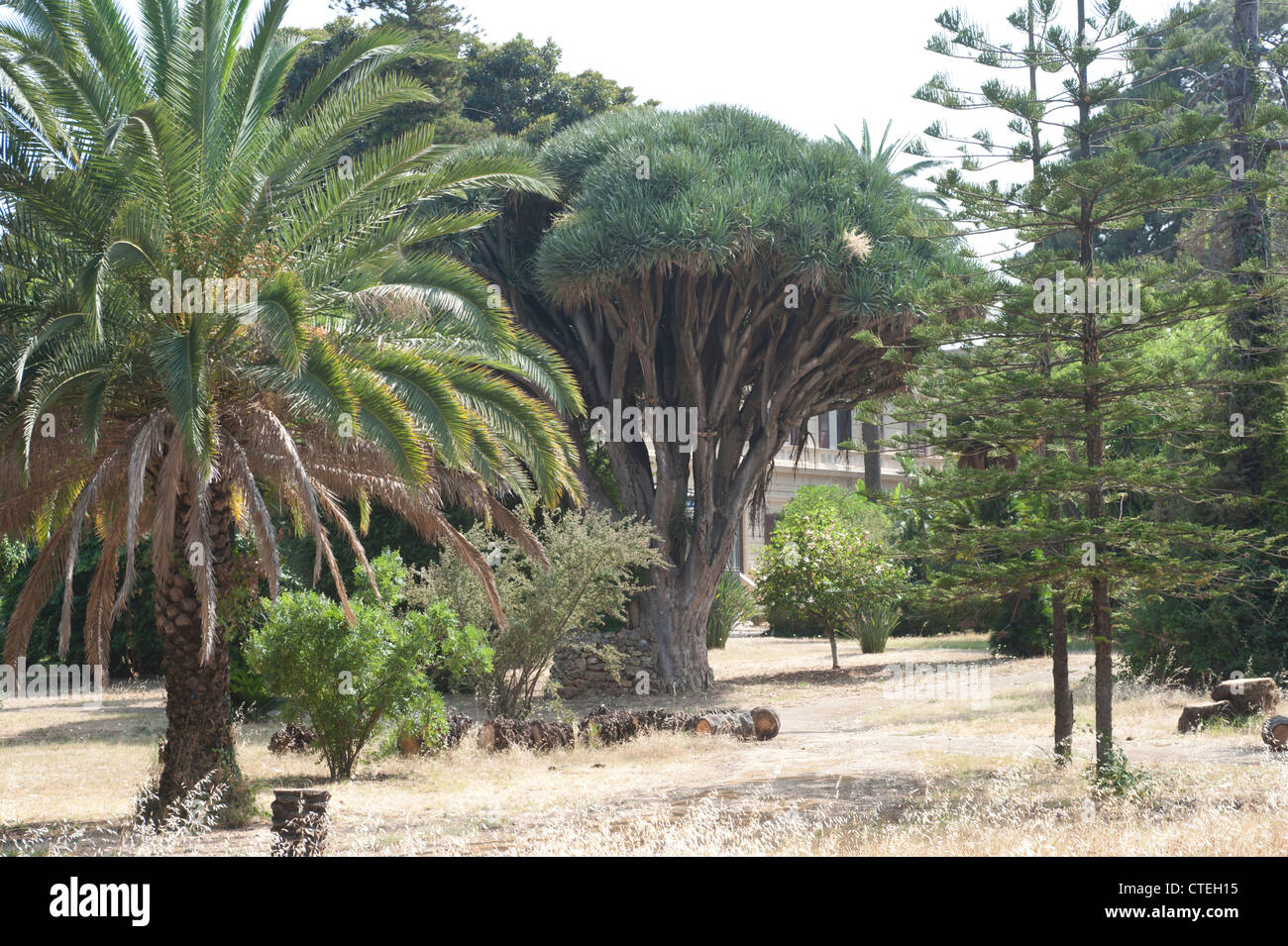 Villa Malfitano, Palermo, Sicily, Italy. Stock Photo