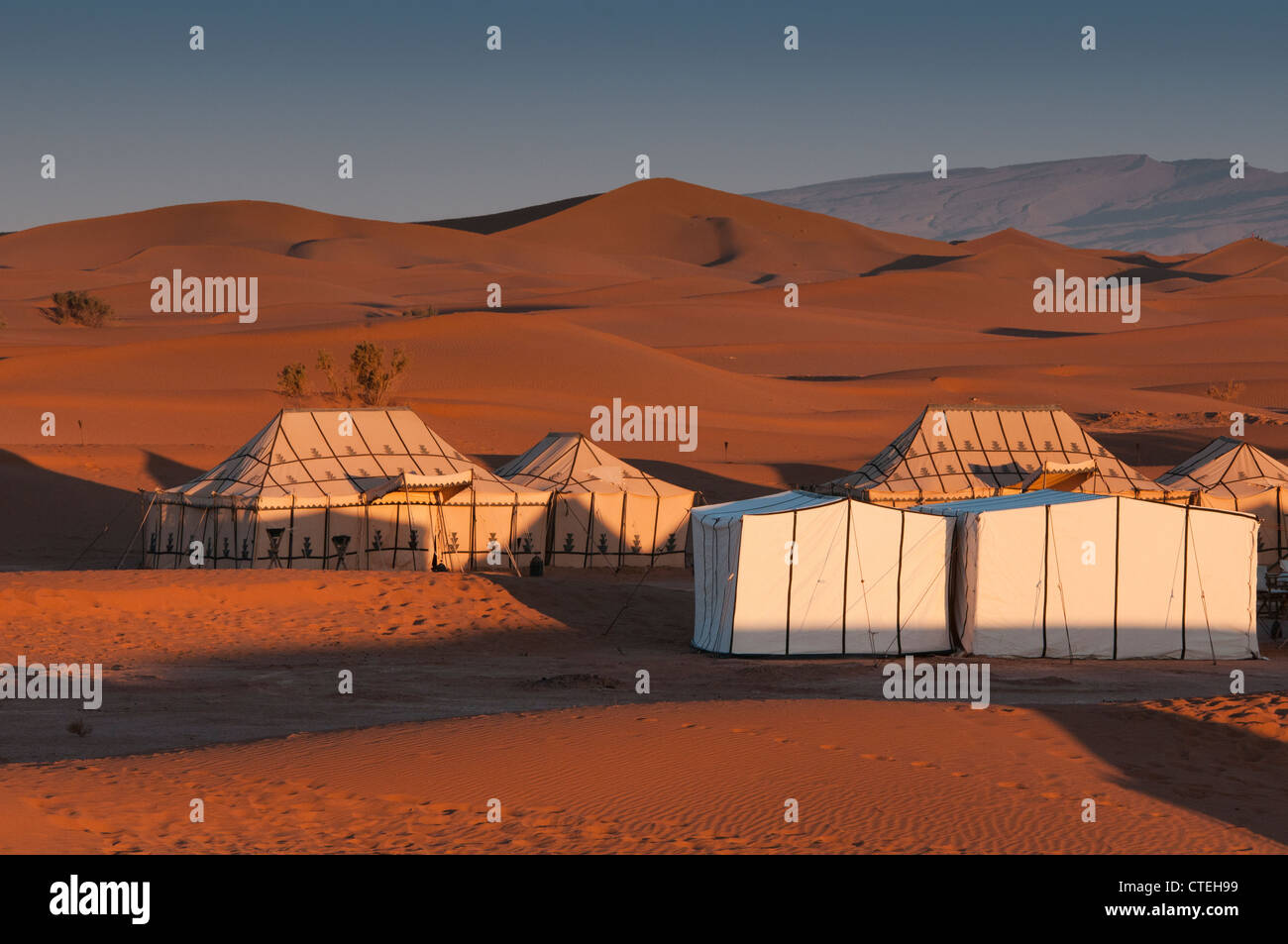 Sahara tents clearance