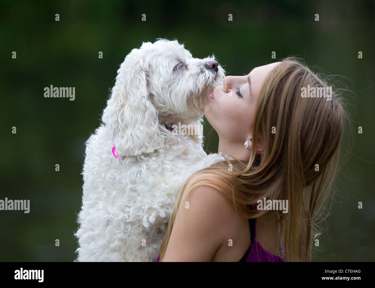 Teenage girl and her pet dog Stock Photo - Alamy