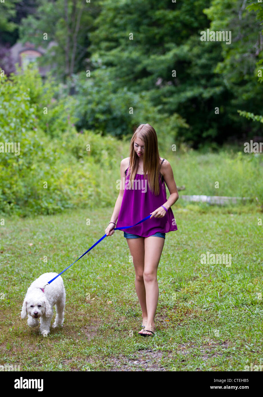 Teenage girl walking her dog Stock Photo Alamy