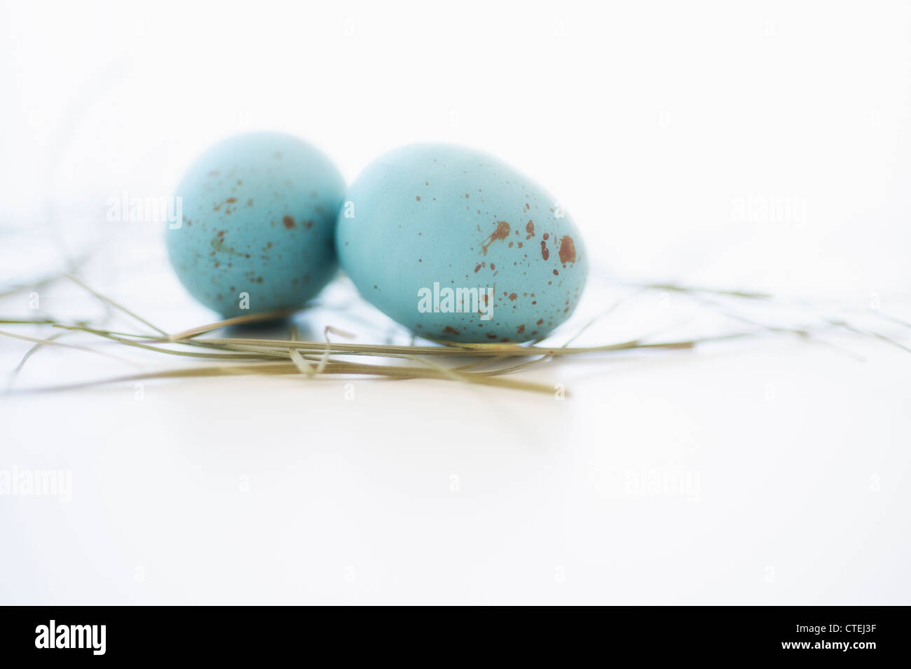 Speckled birds eggs hi-res stock photography and images - Alamy