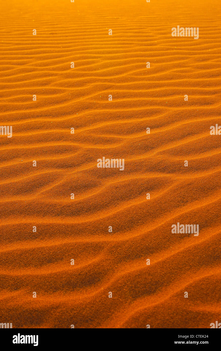 Red sand in the Namib desert, Namibia Stock Photo