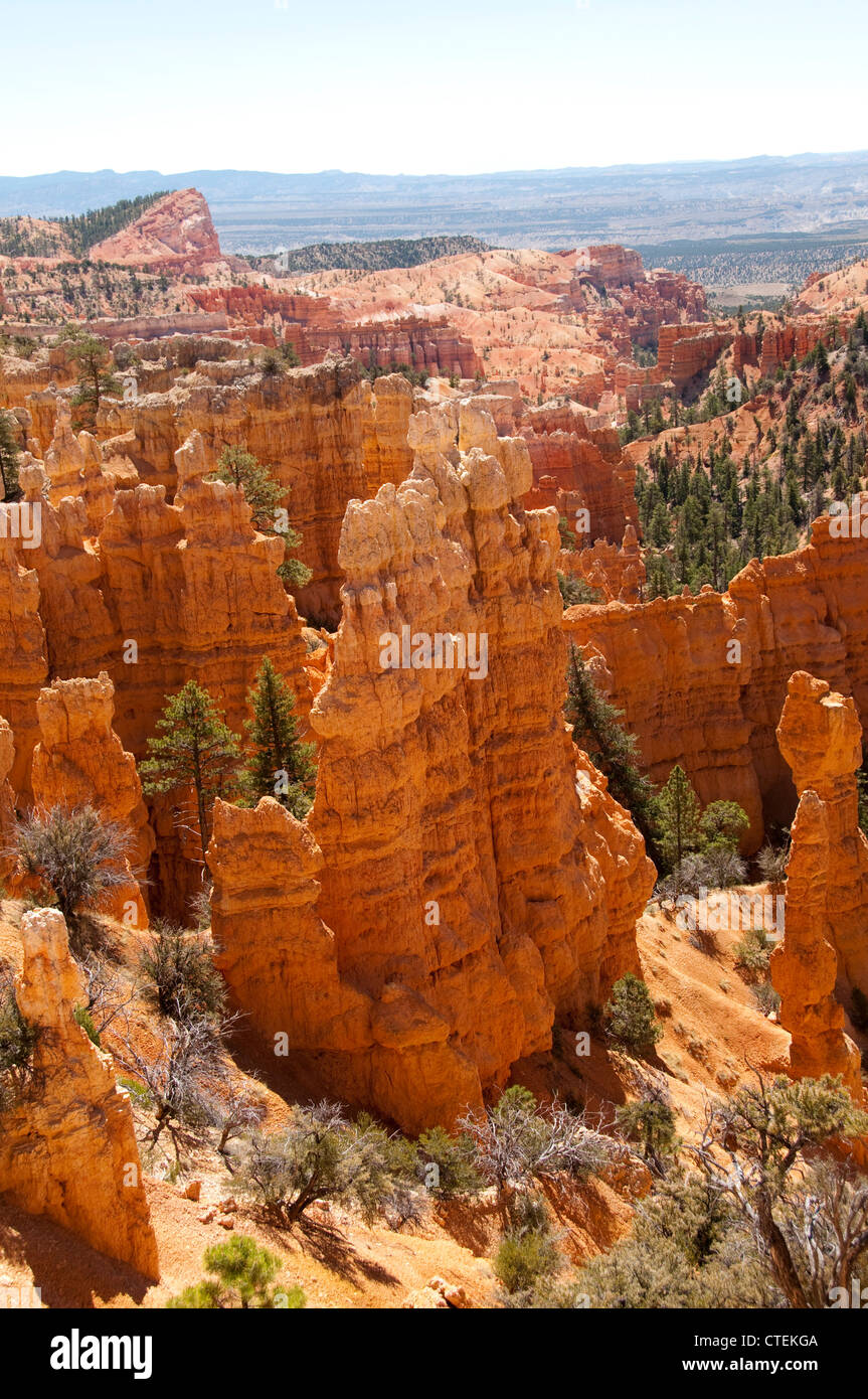 USA, Utah, striking hoodoo land forms at Fairyland view at Bryce Canyon National Park Stock 