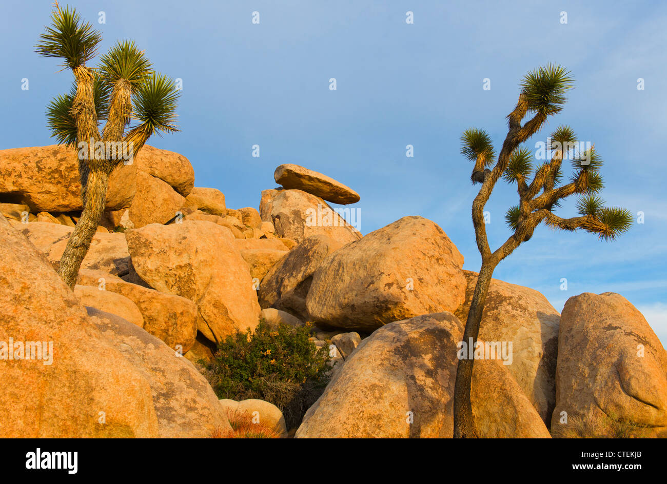 USA, California, Joshua Tree National Park, Rock formations Stock Photo