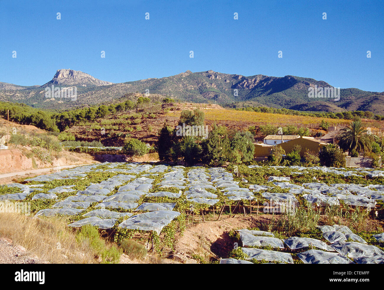 Concepto de agricultura hi-res stock photography and images - Alamy