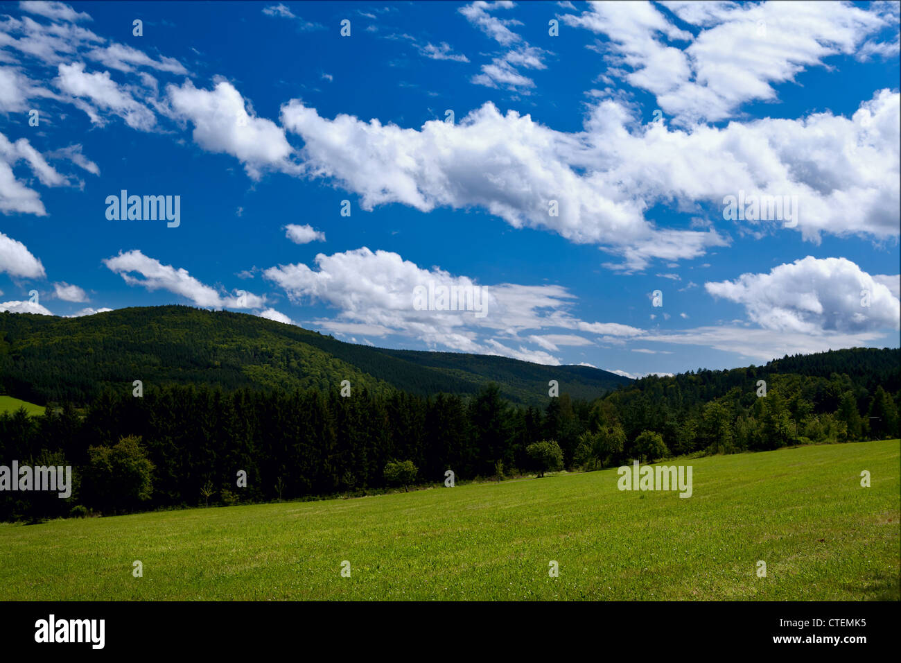 summer mountains covered with green forests and beautiful sky Stock Photo