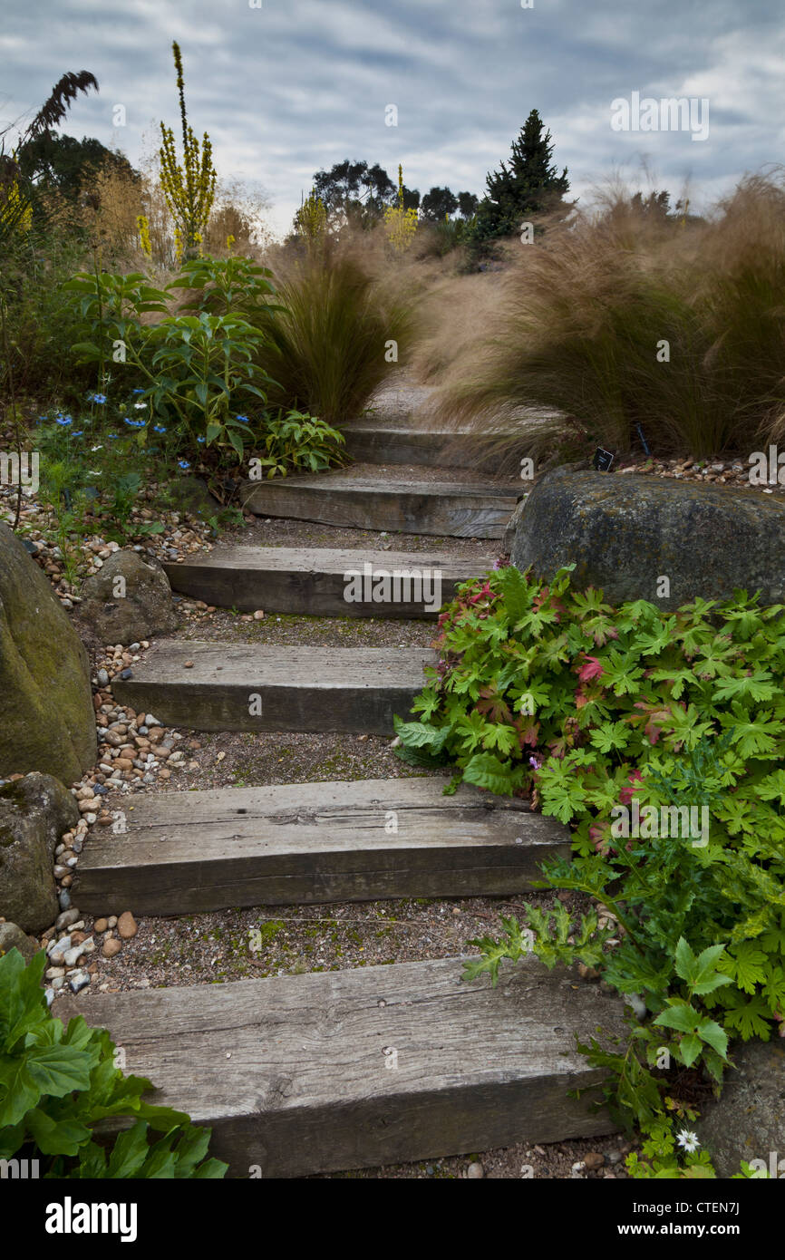 Stipe Tenuissima in Dry Garden at RHS Hyde Hall Gardens Stock Photo