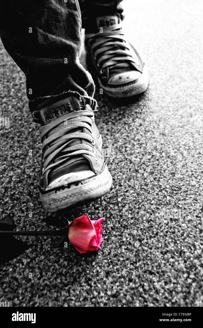 Walking with all star shoes on a red rose Stock Photo