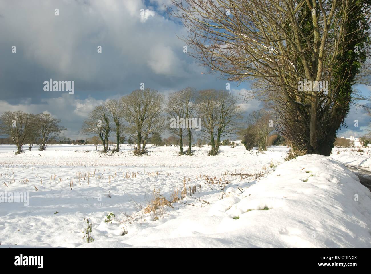 Winter scene in Jersey Channel Isles Stock Photo