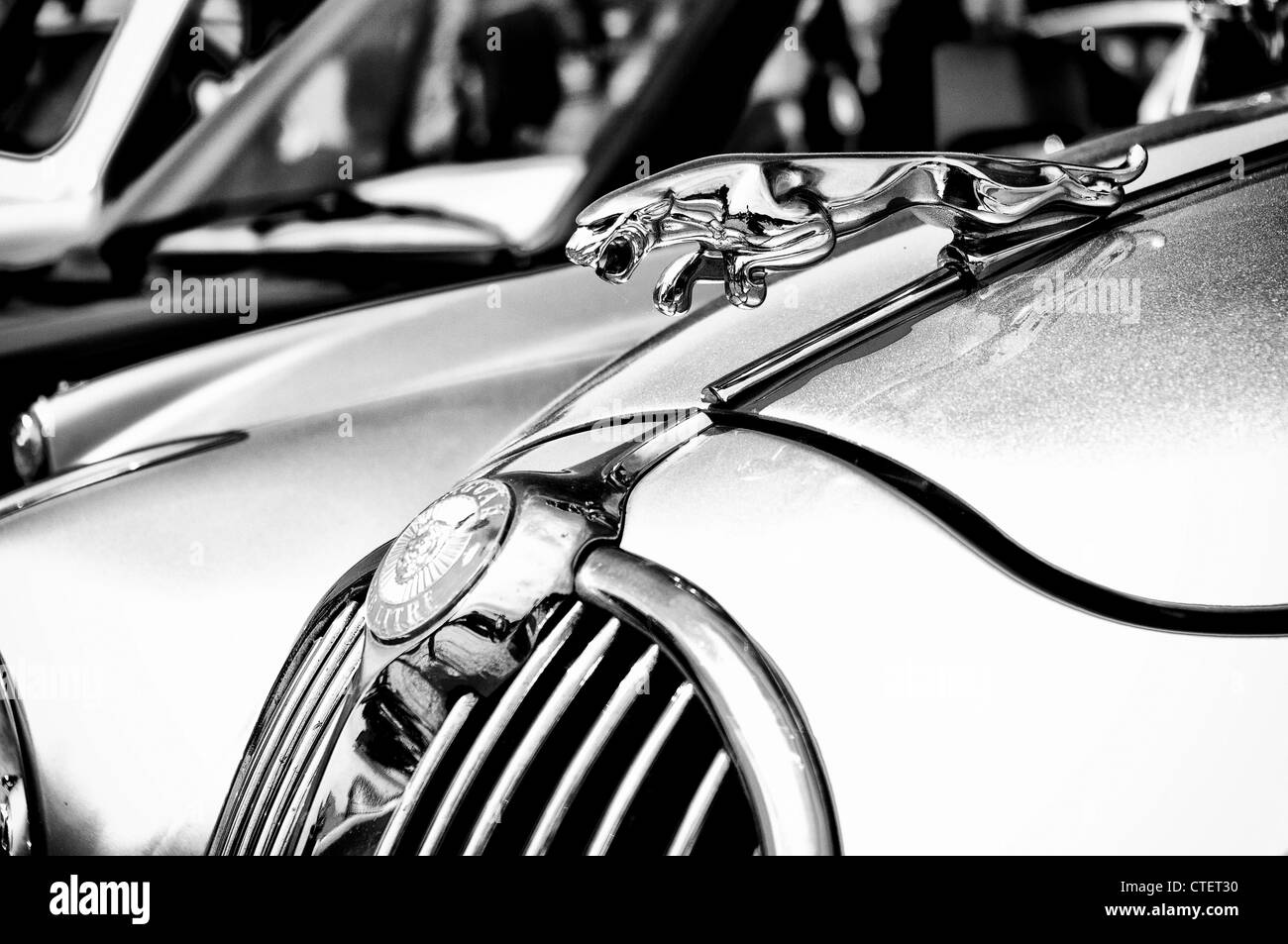 The emblem of the car Jaguar (Black and White) Stock Photo