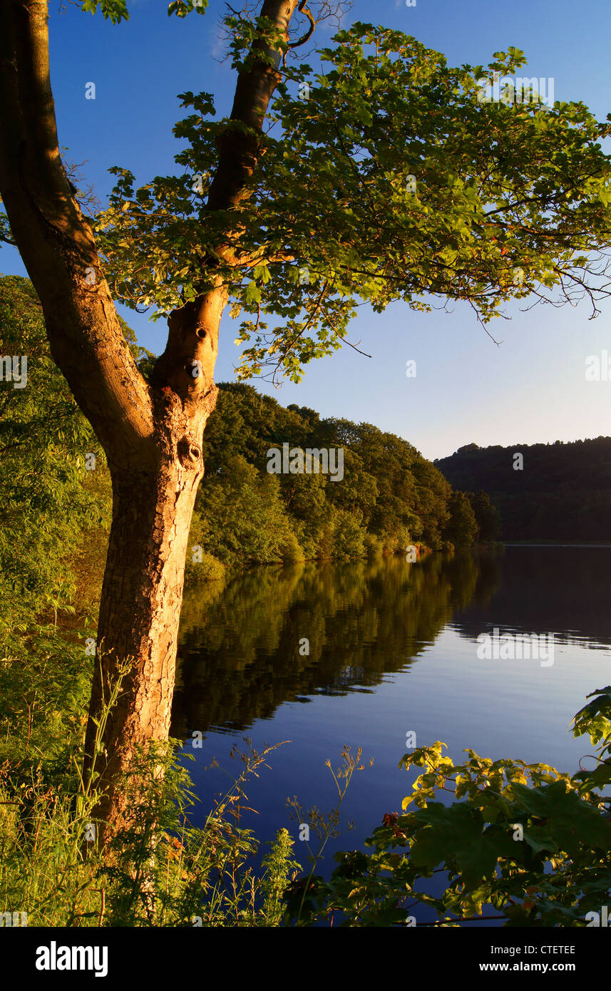 UK,South Yorkshire,Peak District,Near Sheffield,Damflask Reservoir at