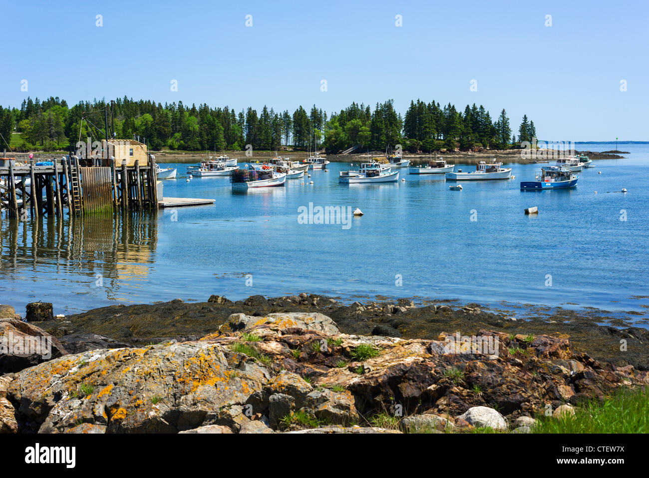 Lobster boats in a commercial fishing harbour at Owls Head on St George Peninsula, Knox County, Maine, USA Stock Photo