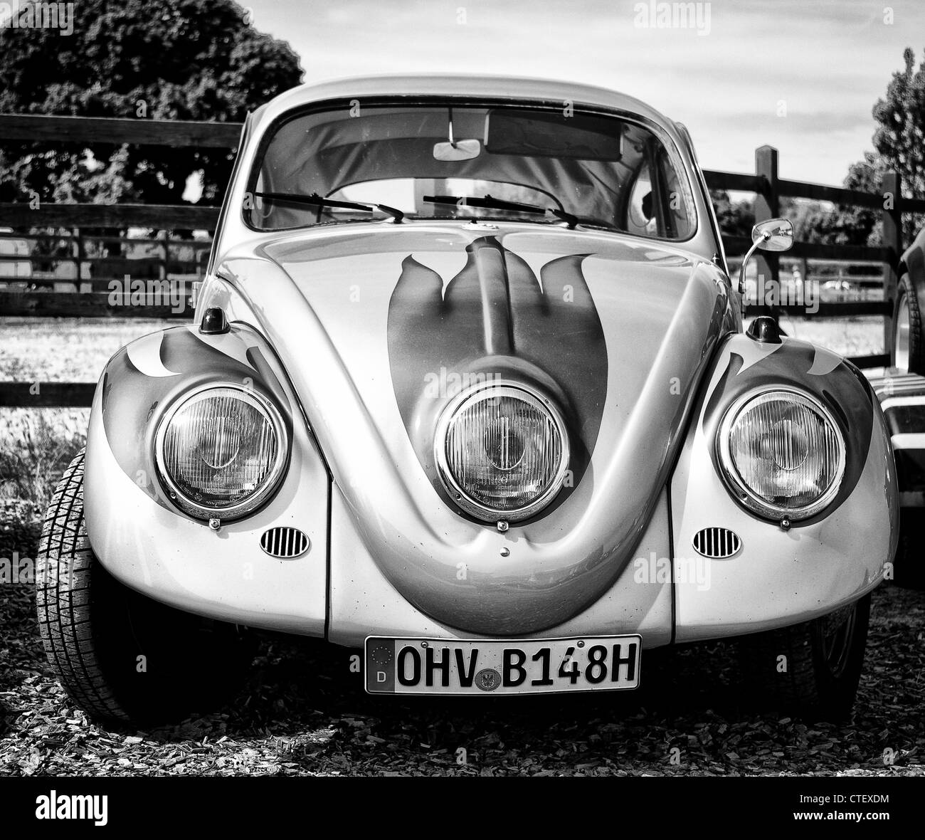 Cars Volkswagen Beetle (black and white) Stock Photo