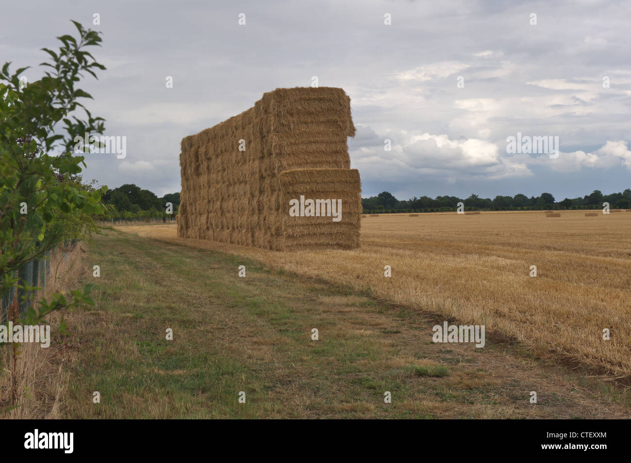 Large haystack in a field Stock Photo
