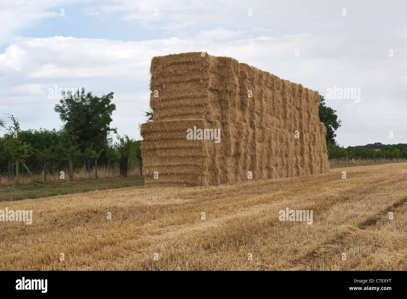 Large haystack in a field Stock Photo - Alamy