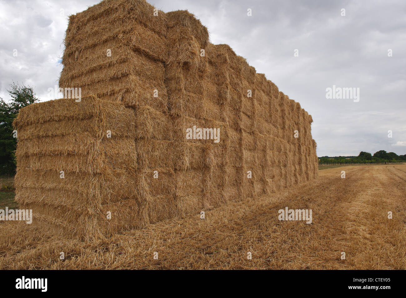 Large haystack in a field Stock Photo