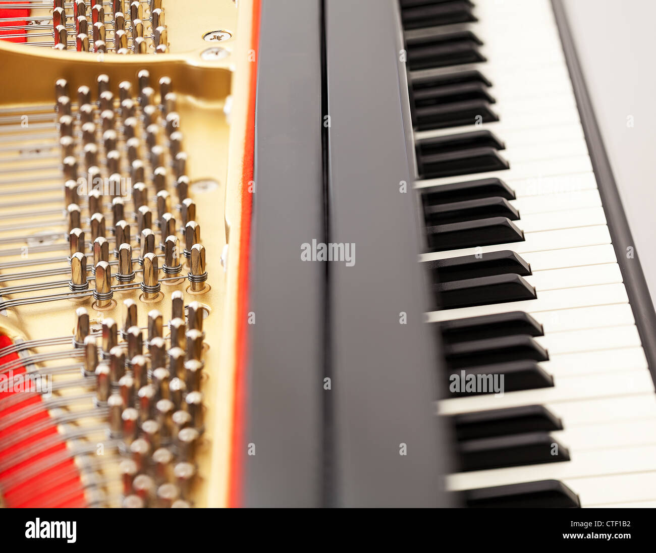 Detailed interior of grand piano showing the strings, pegs, sound board