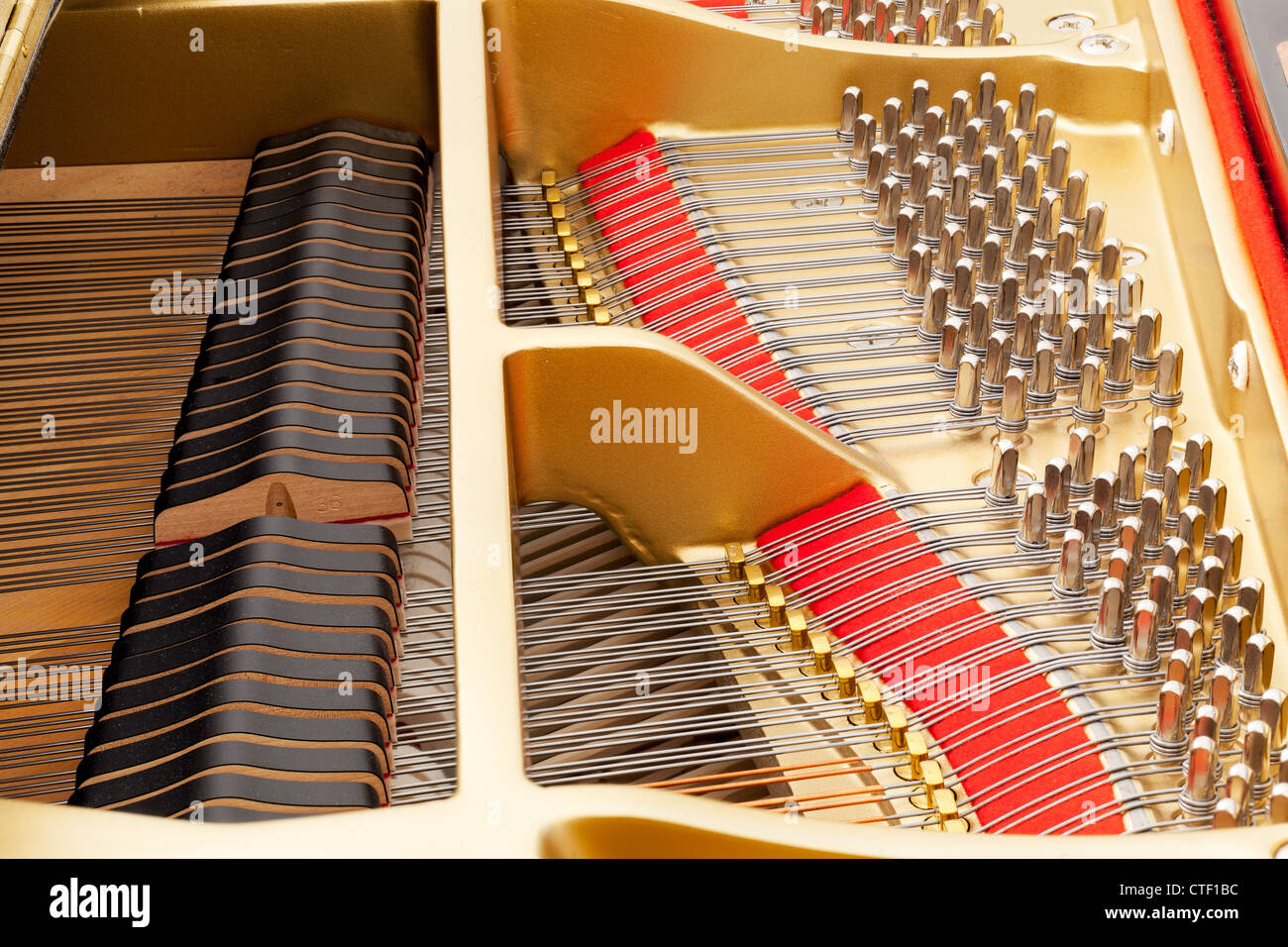 Detailed interior of grand piano showing the strings, pegs, sound board with focus sharp across image Stock Photo