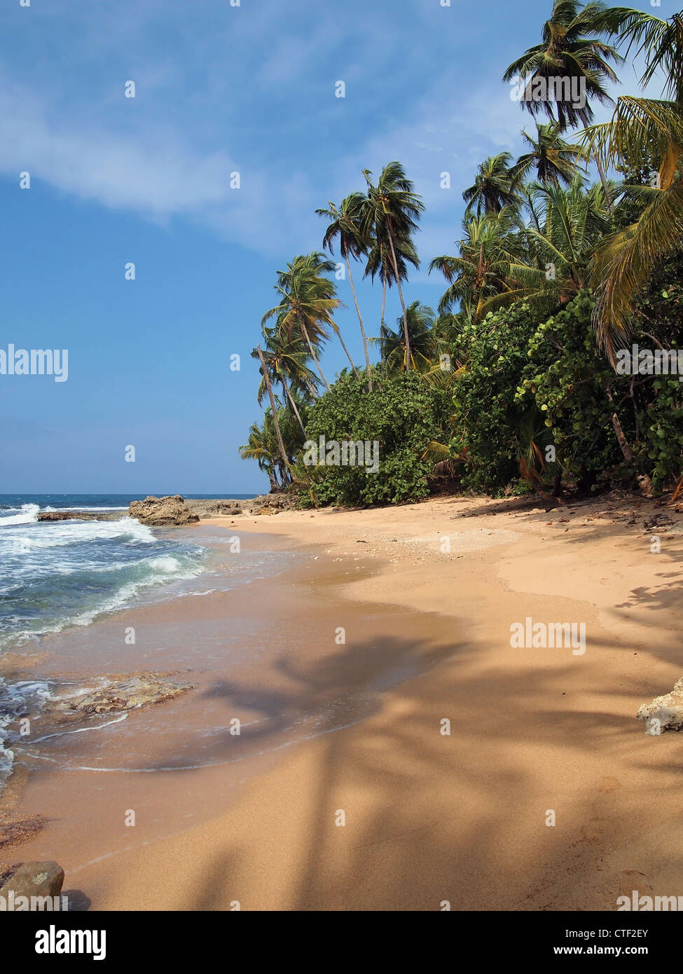 Pristine beach with shade of coconut tree on the sand, Costa Rica, Central America Stock Photo