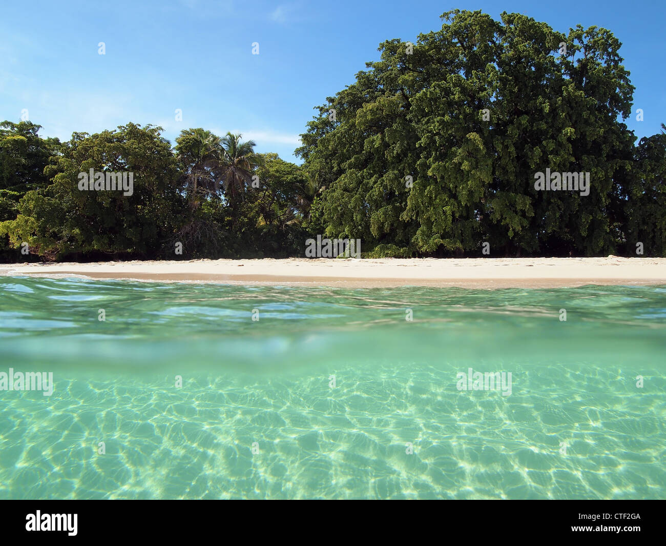 Sandy seashore over and under water of a tropical beach with lush tree, Central America, Panama Stock Photo
