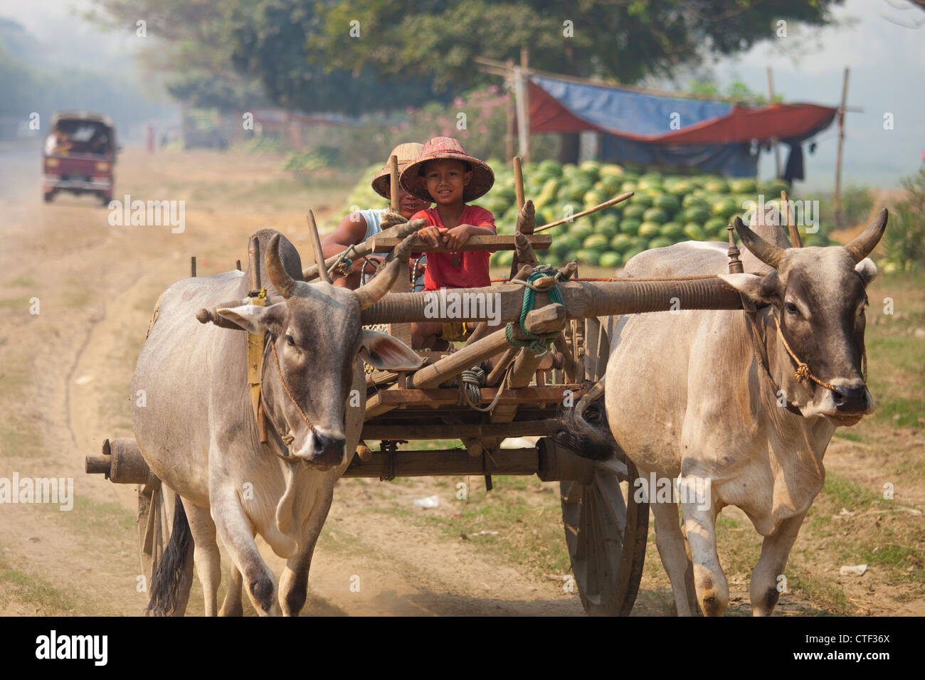 Ox cart in rural Myanmar Stock Photo