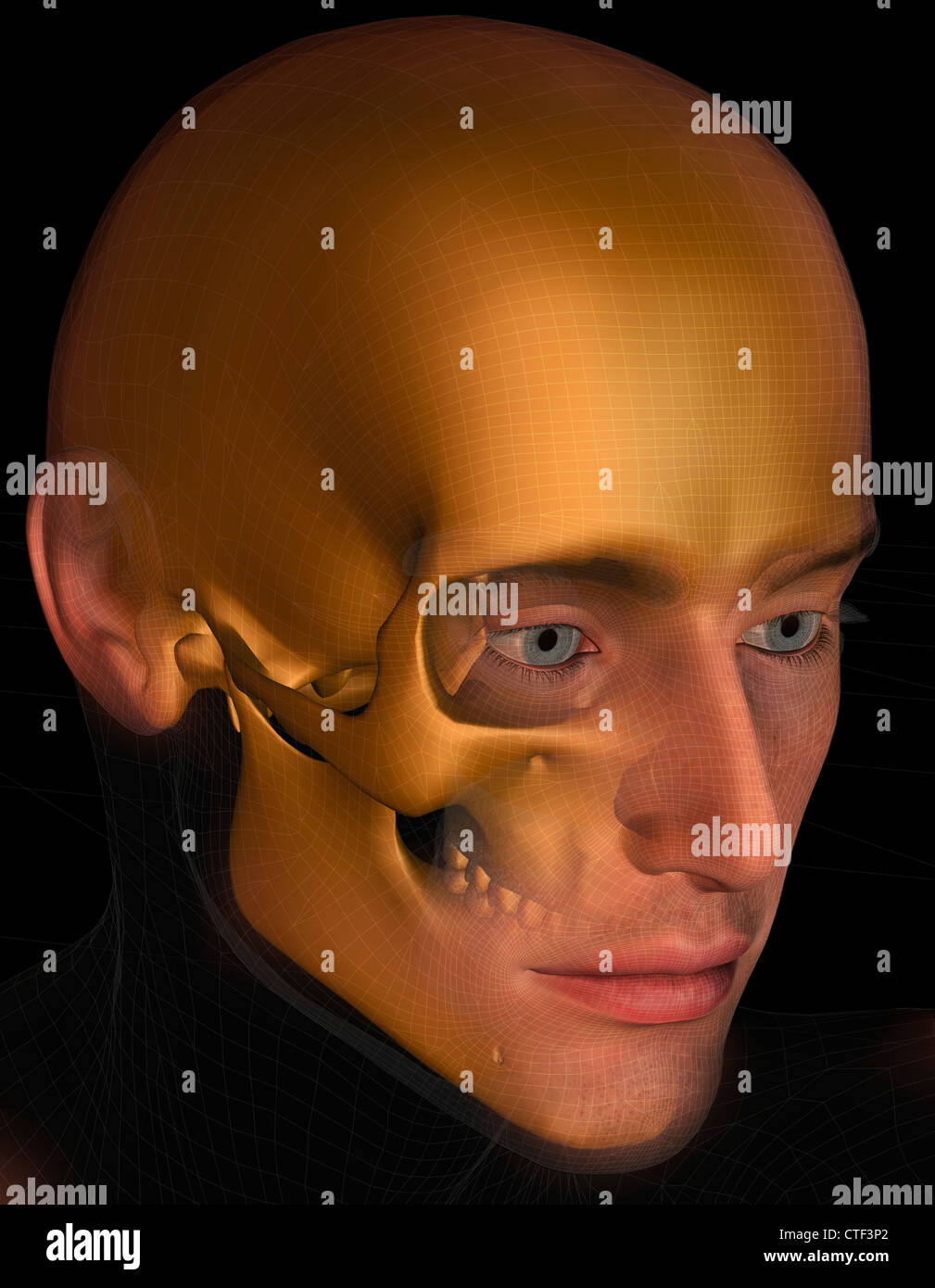 Conceptual image of human skull Stock Photo