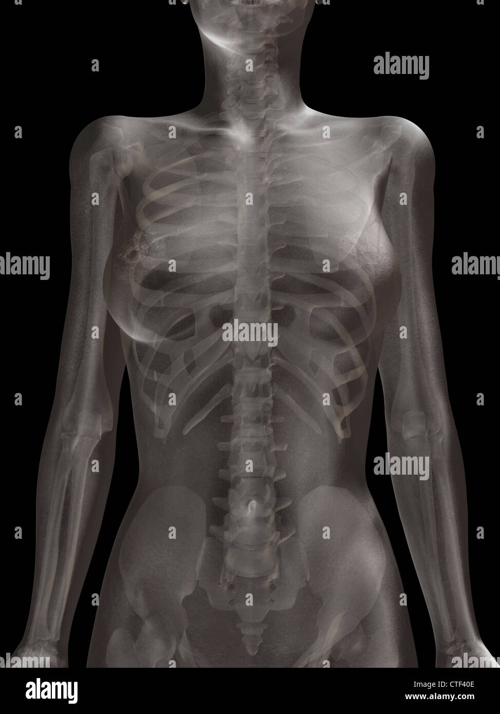 Digitally generated image of female representation with human skeleton visible Stock Photo